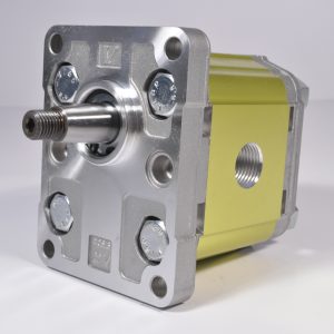 Reversible Gear Motor Group 2 Series XV2M